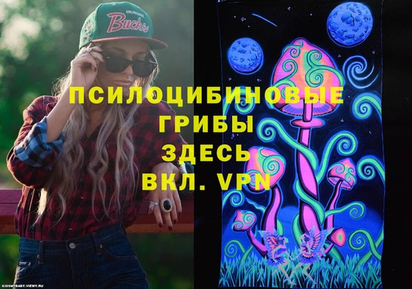 PSILOCYBIN Армянск