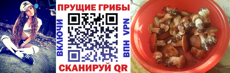 Галлюциногенные грибы ЛСД  кракен онион  Константиновск  купить наркотик 